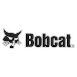Bobcat